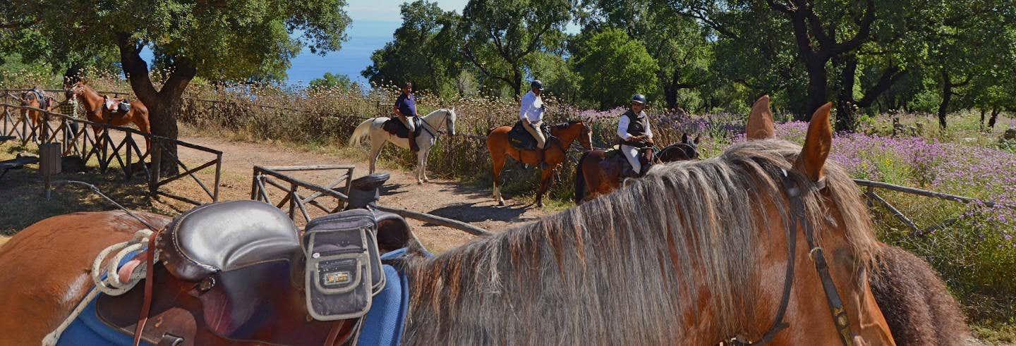 Giro a cavallo nel Parco naturale delle Madonie