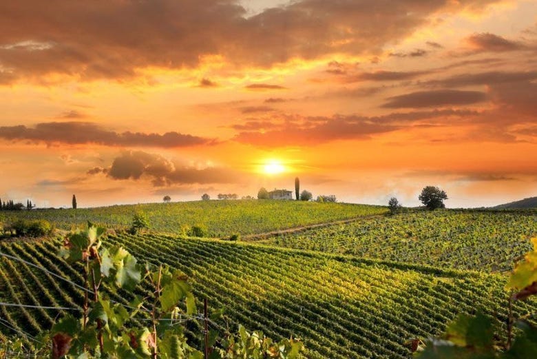 Exploring the Chianti wine region 