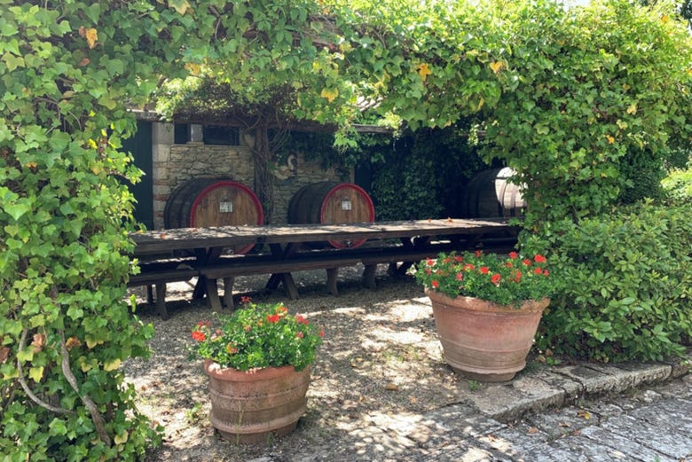 Azienda vinicola a Radda in Chianti