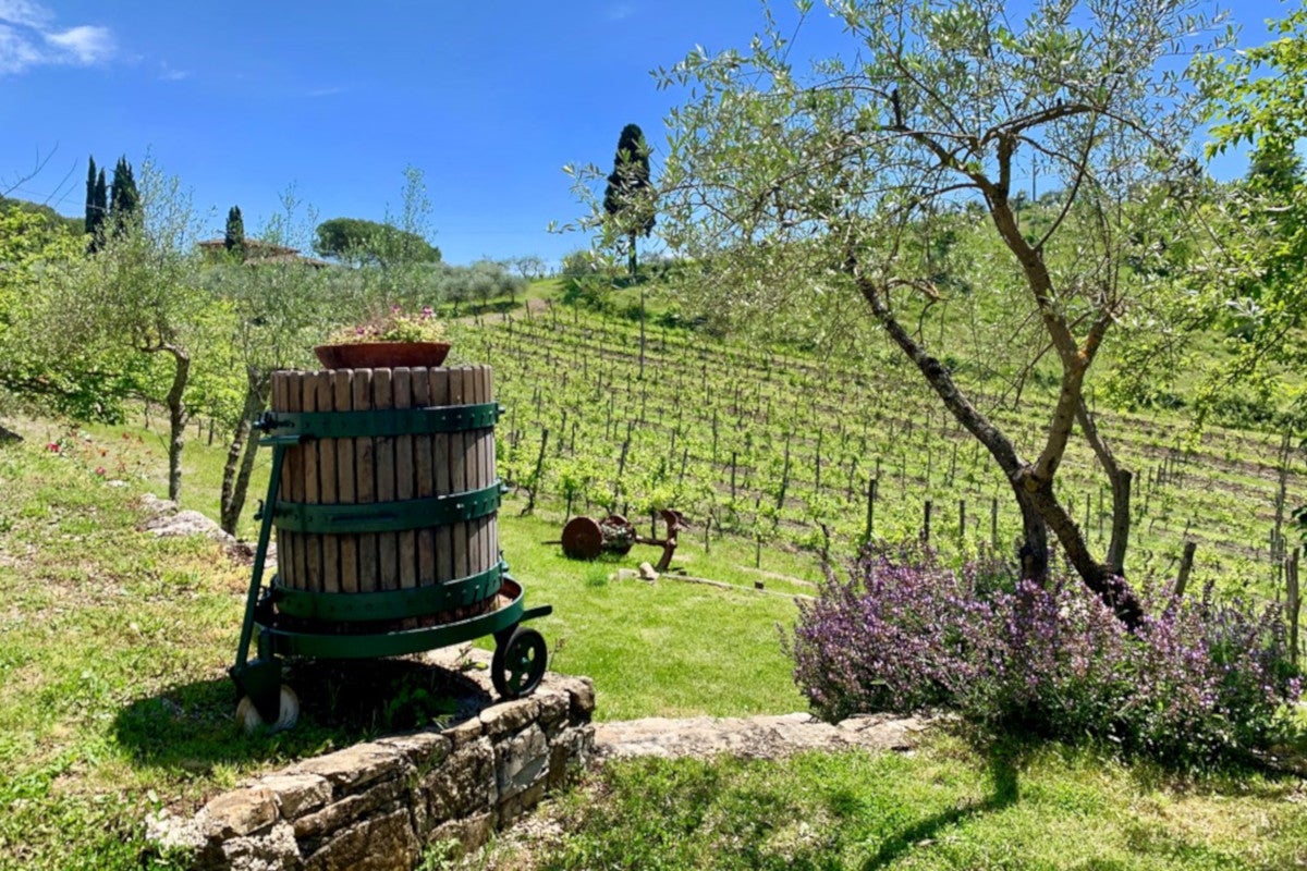 Tour del vino a Radda in Chianti