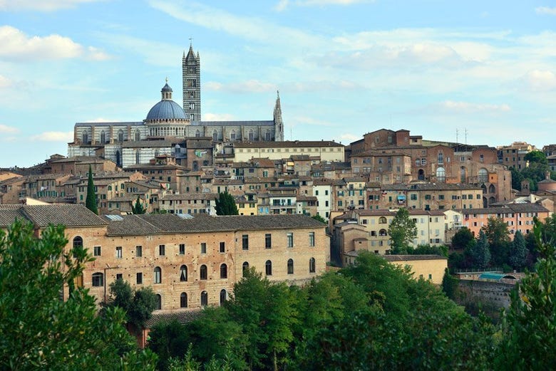 Panoramic view of Siena 