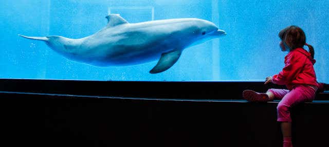 Biglietti per l'Acquario di Genova + Città dei Bambini