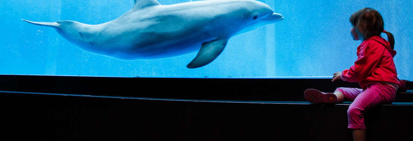 Biglietti per l'Acquario di Genova + Città dei Bambini