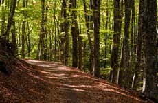 Trekking sul Monte Faito