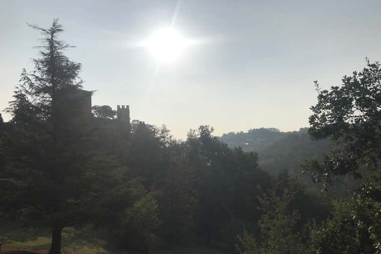 Tour Del Castello Di Gropparello E Del Parco Delle Fiabe