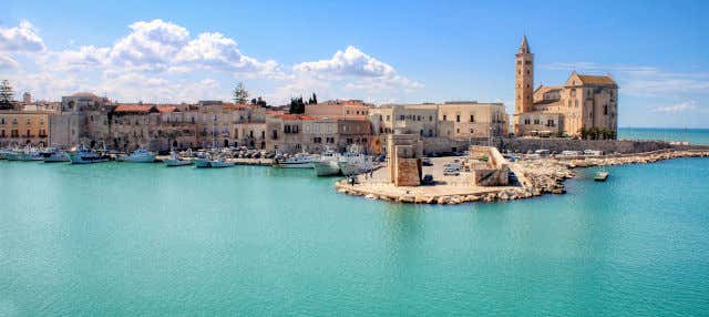 Escursione a Trani e Castel del Monte