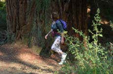 Trekking al Parco di Sammezzano