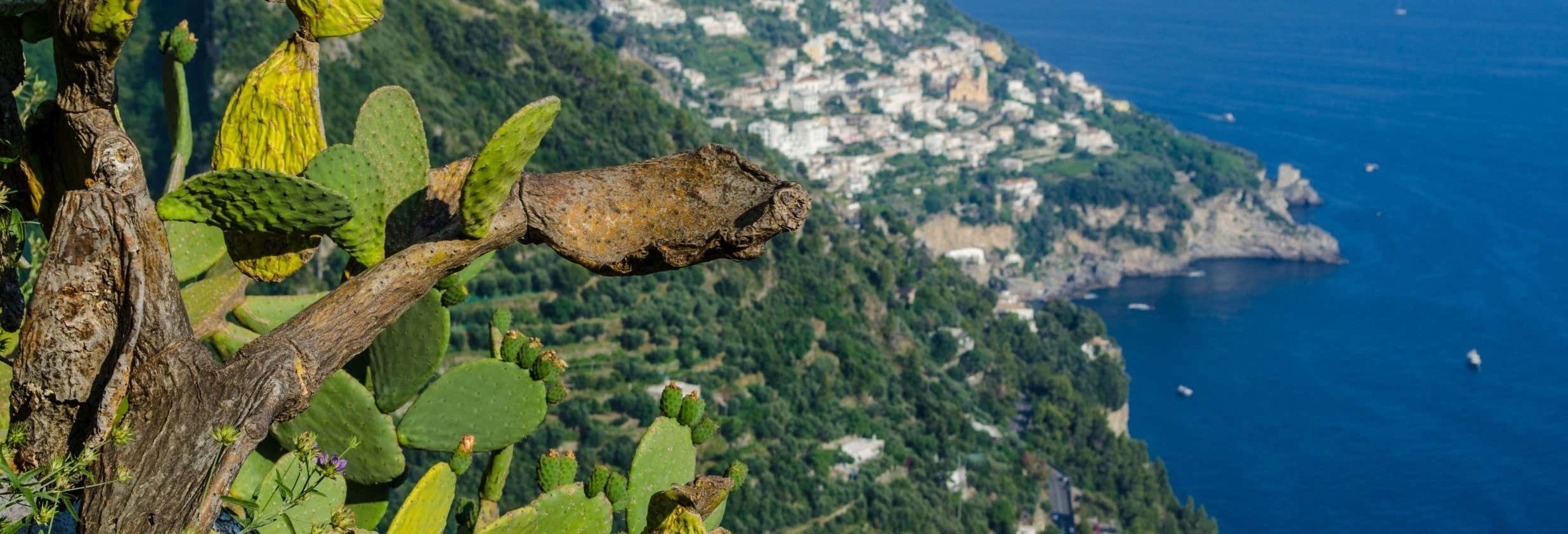 Trekking por el Sendero de los Dioses