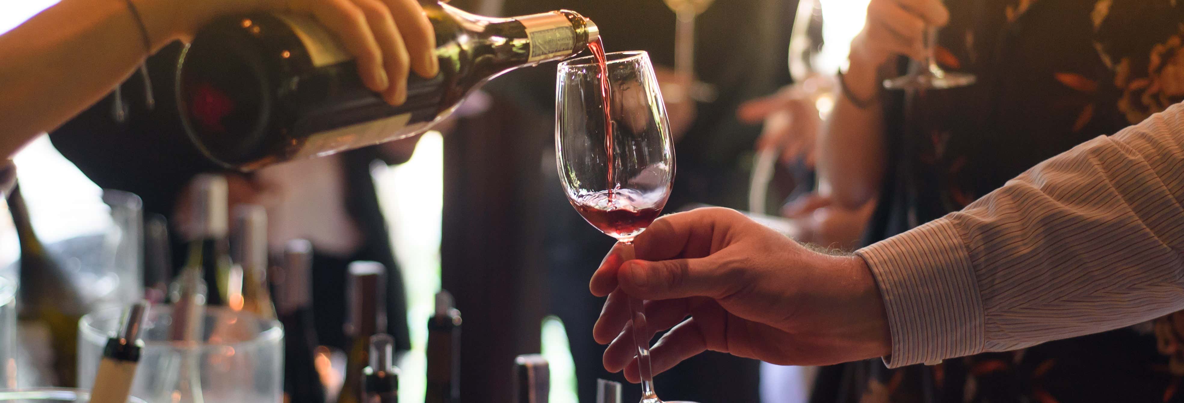 Visita a las bodegas Vini Gambino