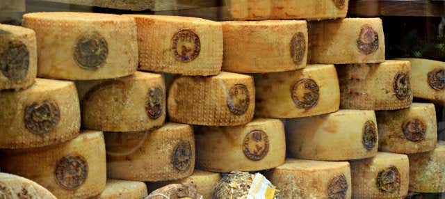 Tour del vino y el queso pecorino
