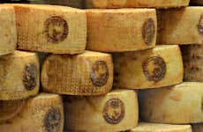 Visite autour du vin et du fromage pecorino