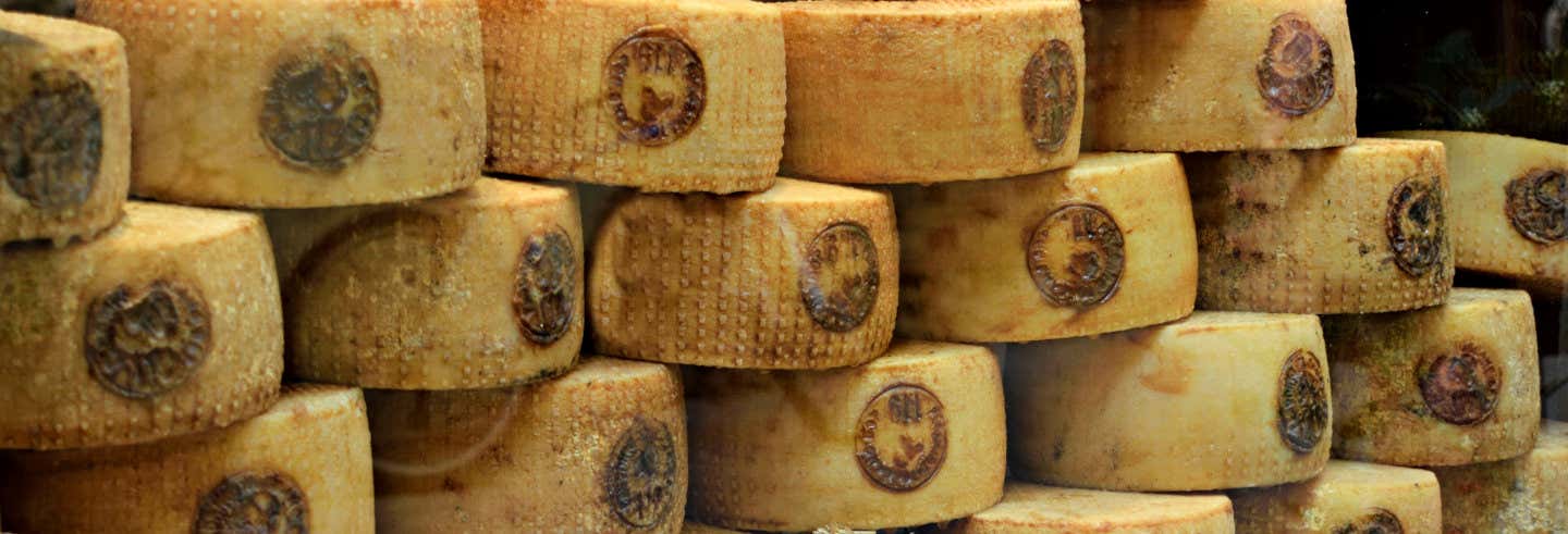 Tour del vino y el queso pecorino
