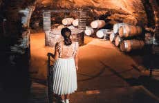 Tour delle cantine con degustazione