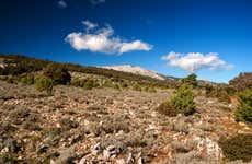 Excursión a Orgosolo y Mamoiada