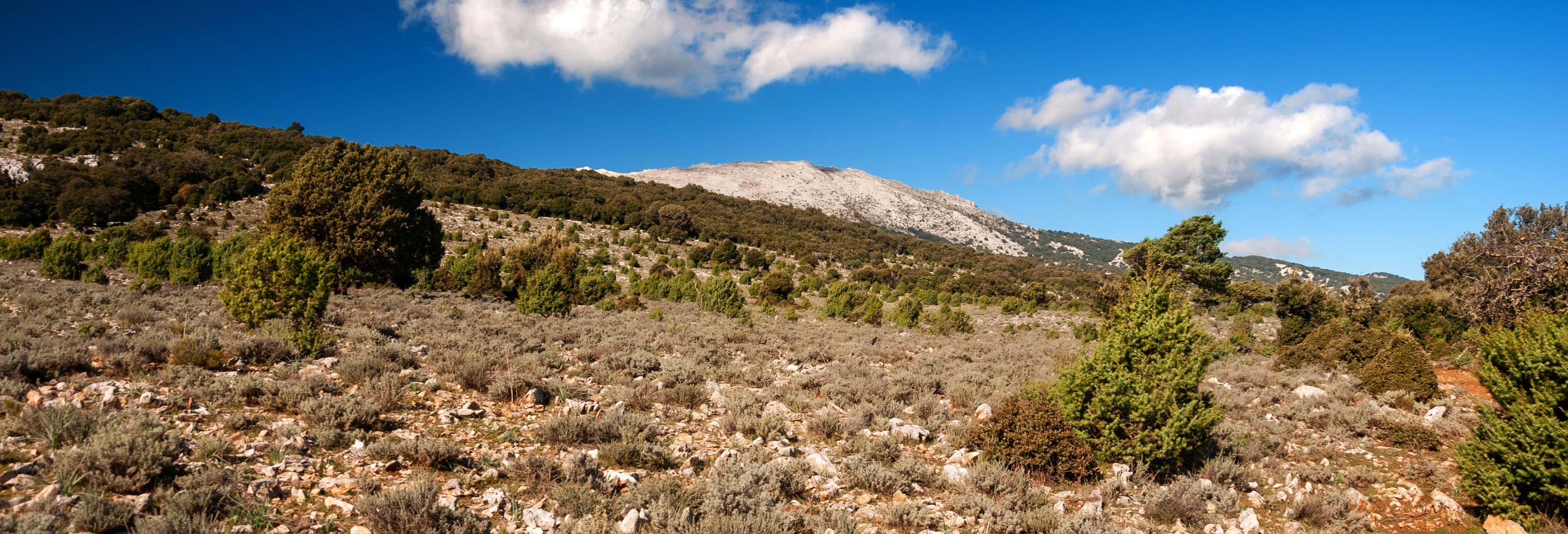 Excursión a Orgosolo y Mamoiada