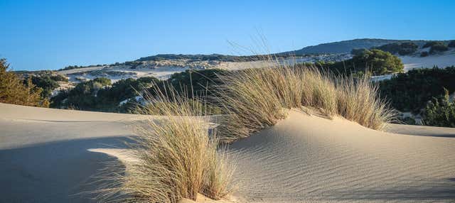 Tour delle montagne e delle spiagge sarde in fuoristrada