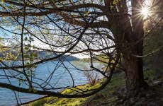 Trilha pelo Parque Nacional de Sila