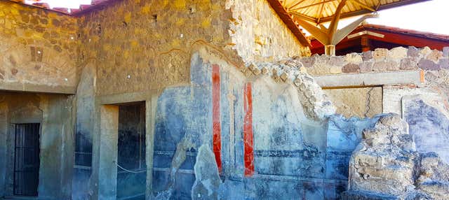 Stabiae Villas Excursion