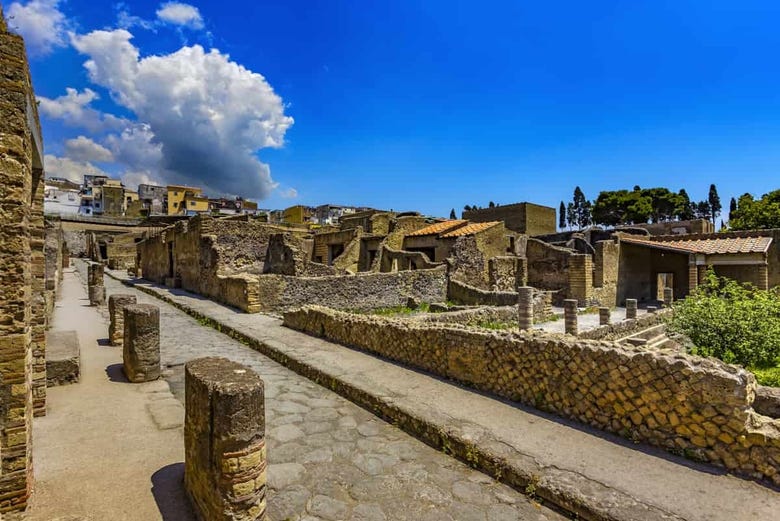 Escursione al sito archeologico di Ercolano da Pompei