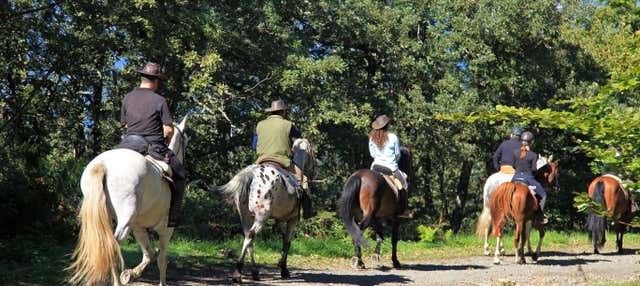 Paseo a caballo por el Vesubio + Cata de vinos
