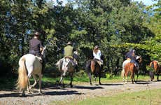 Paseo a caballo por el Vesubio + Cata de vinos