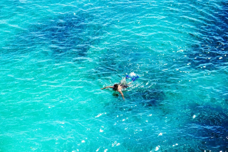 Snorkelling at Ponza Island