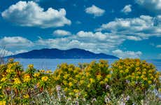 Escursione all'isola del Giglio e a Giannutri