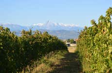 Cantina Mazzarosa Wine Tour