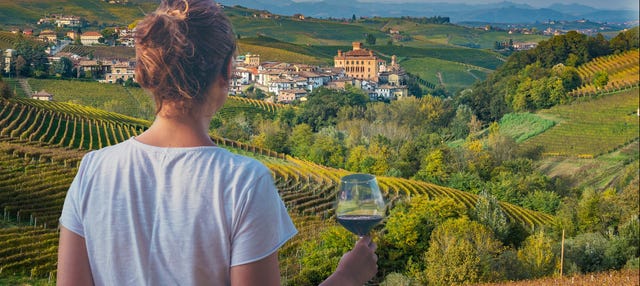 Tour del vino por el Chianti + Castello di Brolio