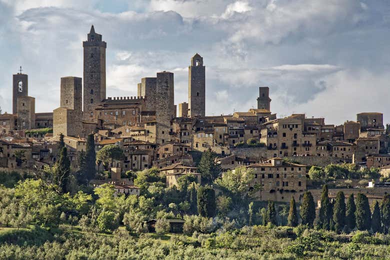 Escursione a San Gimignano e Montalcino da Siena