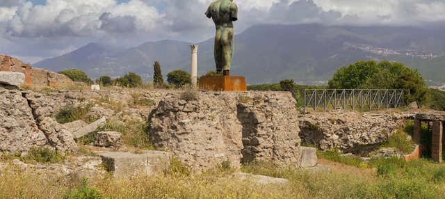 Escursione a Napoli e Pompei