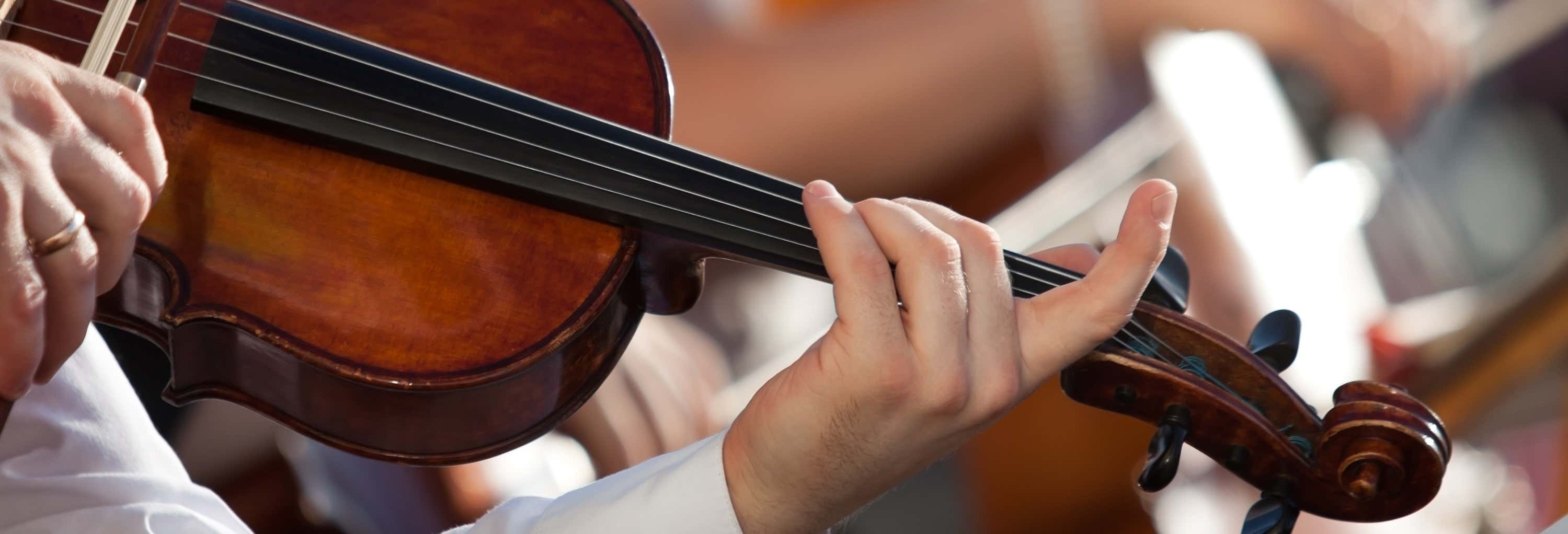 Concerto da orquestra Collegium Ducale