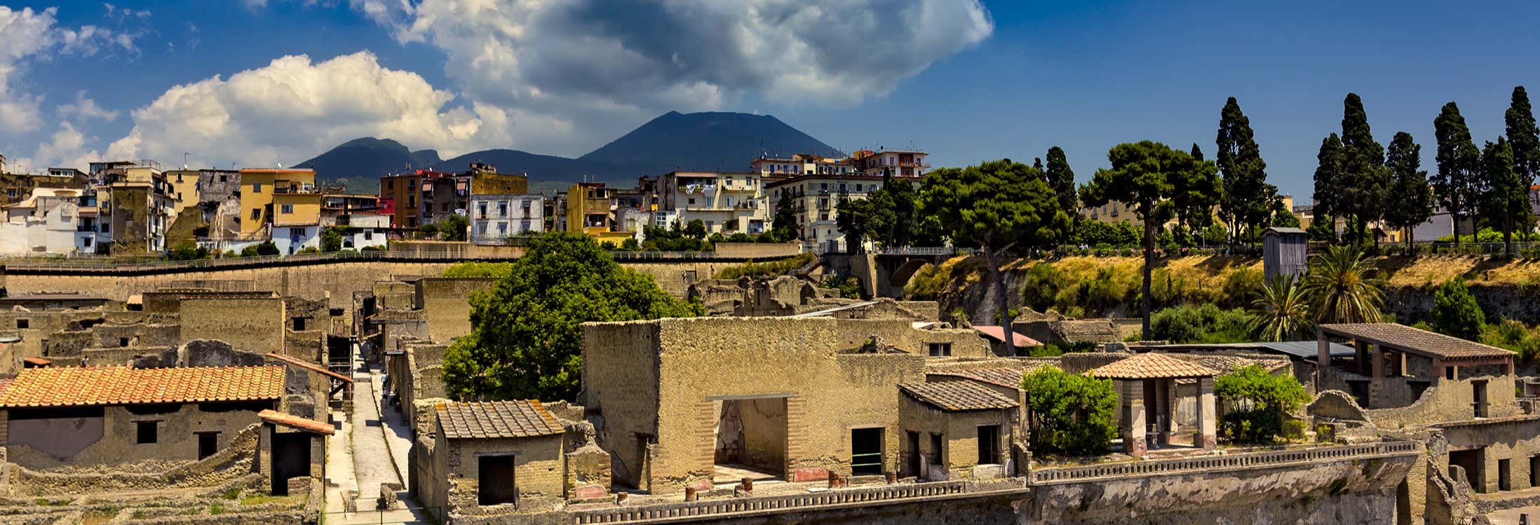 Escursione al sito archeologico di Ercolano