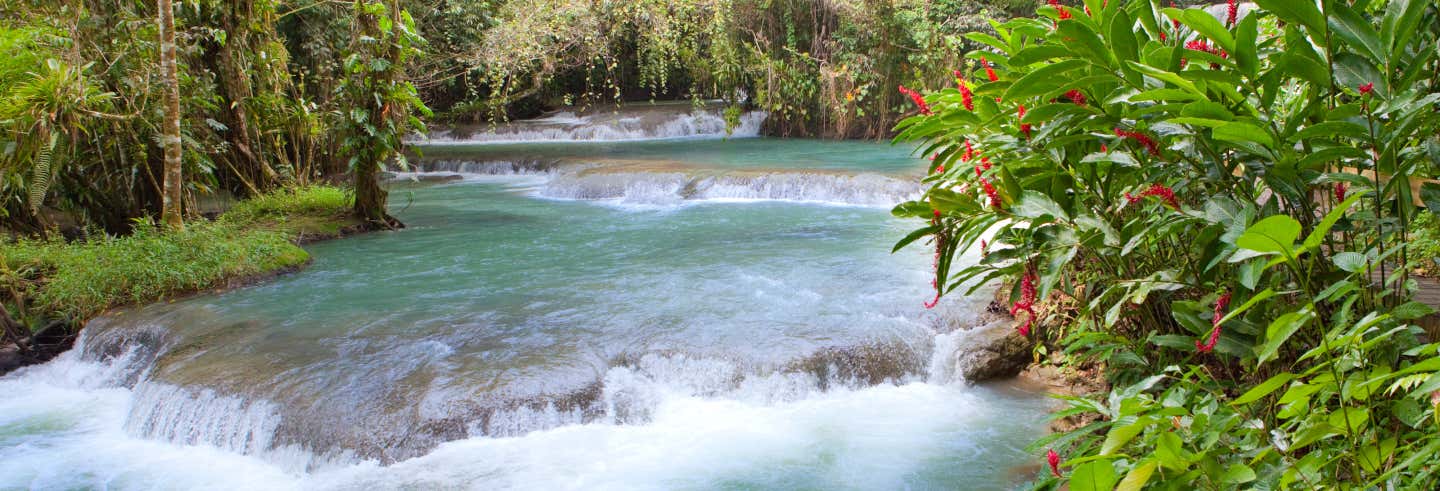 Excursión al Rainforest Adventures Mystic Mountain para cruceros