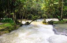 Excursão ao Rio Negro e Cataratas YS