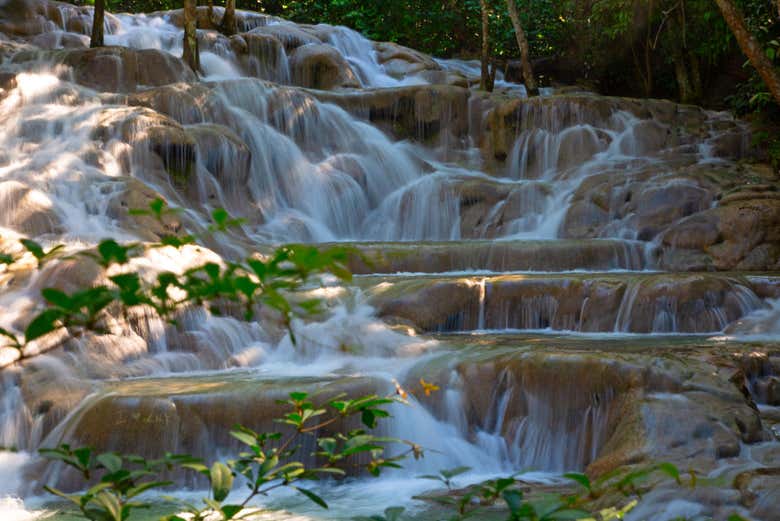 Excursion Aux Cascades De La Riviere Dunn Depuis Falmouth