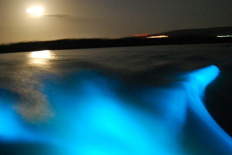 Vista noturna da Lagoa Luminosa