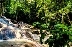 Tour di Bob Marley + Cascate del fiume Dunn