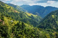 Excursion aux Blue Mountains