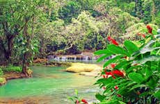 Excursión a Río Negro y Cataratas YS