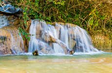 Tour di Bob Marley + Cascate del fiume Dunn