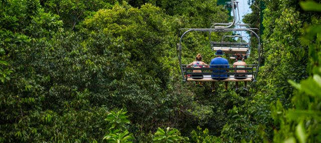 Rainforest Adventures Mystic Mountain Ticket