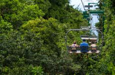 Rainforest Adventures Mystic Mountain Ticket