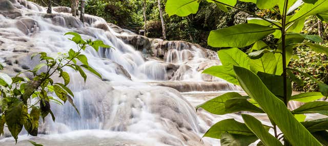 Excursão às cascatas do rio Dunn