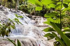 Excursión a las cascadas del río Dunn