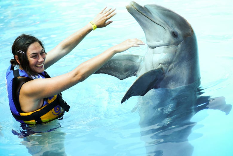 Experiência com golfinhos