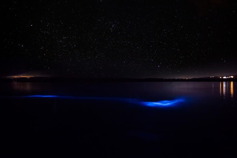 Lagoa Luminosa de Falmouth