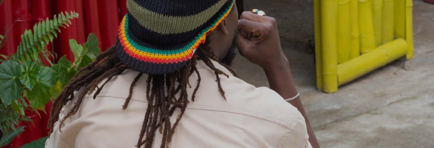 Tour de Bob Marley + Cascadas del río Dunn