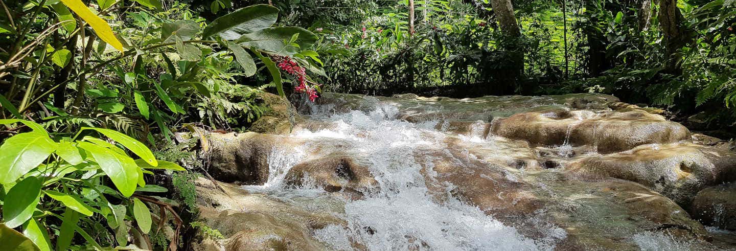 Excursión a las cascadas del río Dunn