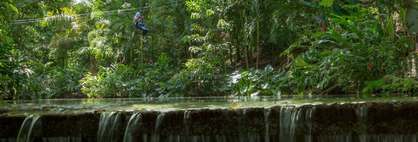 Excursion pour le Rainforest Adventures Mystic Mountain